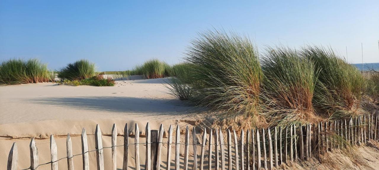 Maison Sur Le Bassin D'Arcachon Ла-Тест-де-Бюш Екстер'єр фото